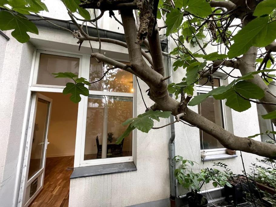 Cosy & Central Flat Near Duesseldorf Center Exterior foto